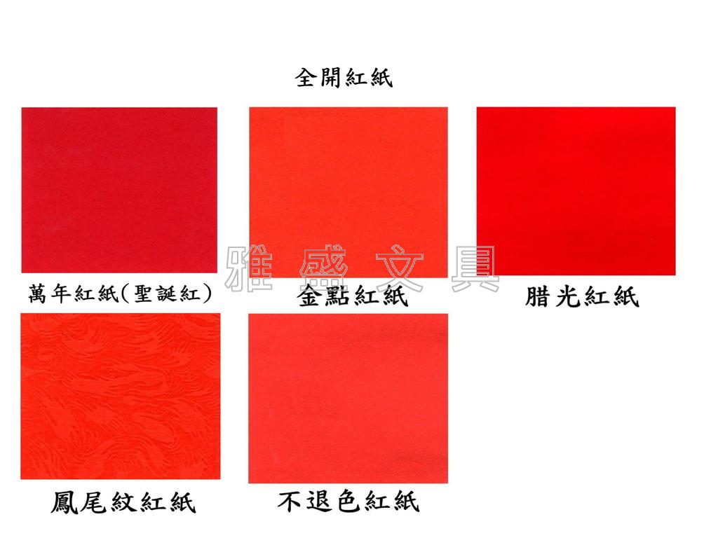 万年红(圣诞红)-全开红纸